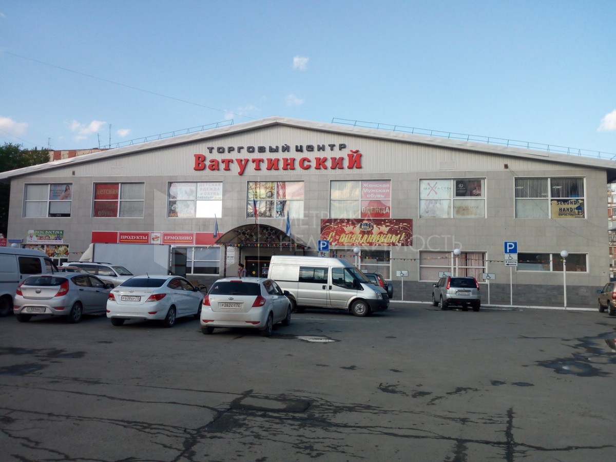 Большое Платье Ватутина